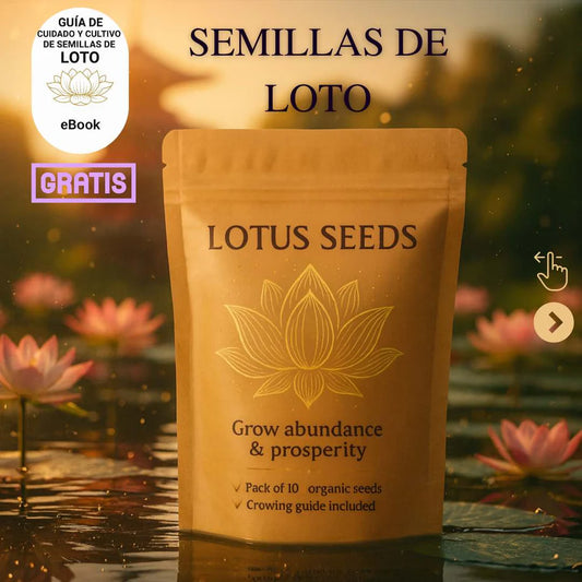 Seeds®-Todo florece cuando tu energía está en armonía… incluso tú
