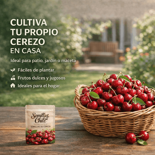 🍒 Semillas de CEREZA SELECCIONADAS - 🔥 1 paquete – aprox. 5 gramos