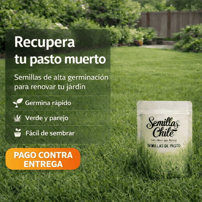 🌱Semillas de Césped Autoreparable - 400g - Cubre hasta 15 m2