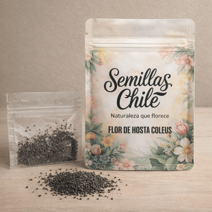 🌿Semillas de Hosta Caleus - Arcoiris de Dios 💖🔥1 paquete - 100 semillas Aprox. (5 gr.)